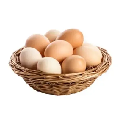 ονειροκρίτης αυγά