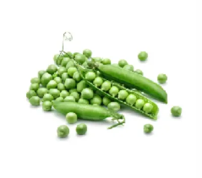 Ονειροκρίτης – ερμηνεία ονείρου με Αρακάς 