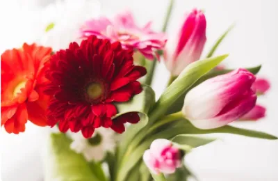 Ονειροκρίτης λουλούδια – ερμηνεία ονείρου